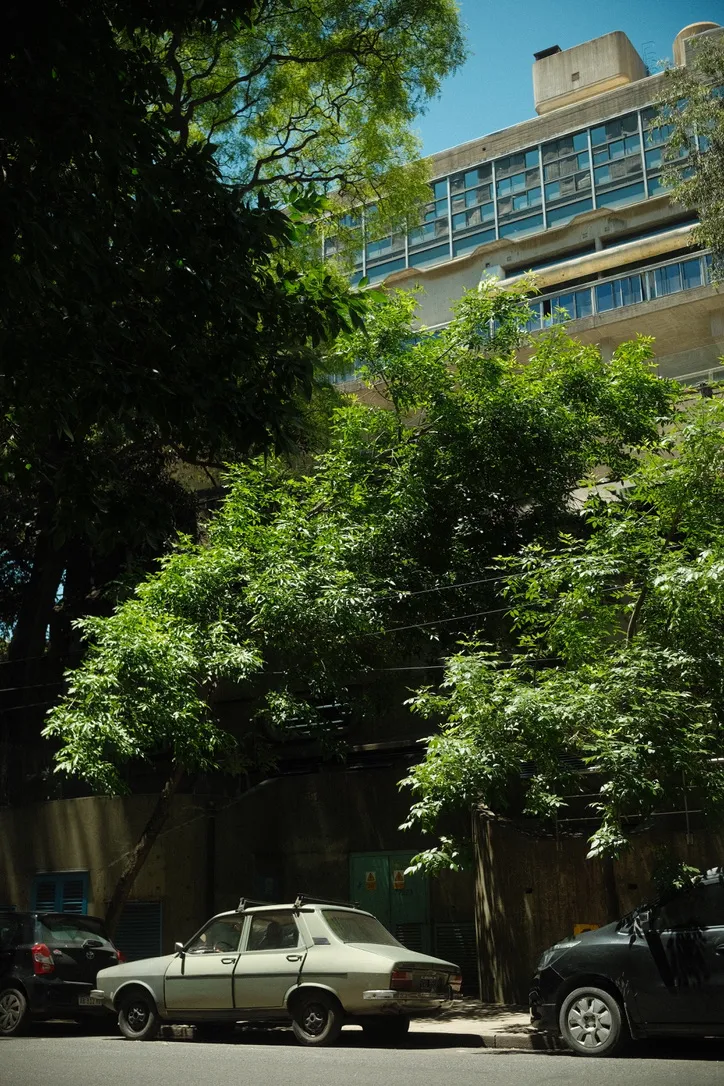 CCFC32F6 6367 43AF 8271 E2527B2A5841 1 105 C